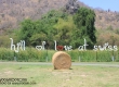 Swiss Sheep Farm ฟาร์มแกะ หัวหิน ชะอำ