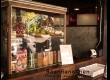 บ้านบางเขน ที่เที่ยวสไตล์ 90 มีมุมถ่ายรูปสวยๆ มีอาหาร และคาเฟ่เปิด 24 ชม