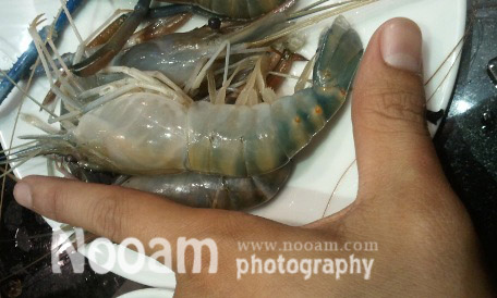 รีวิว ร้านนิกุยะ (Nikuya) บุฟเฟต์ปิ้งย่างสไตล์ญี่ปุ่น หมูเนื้อและกุ้งแม่น้ำตัวใหญ่ น้ำจิ้มซีฟู้ดรสเด็ดและหมูดำคุโรบุตะ