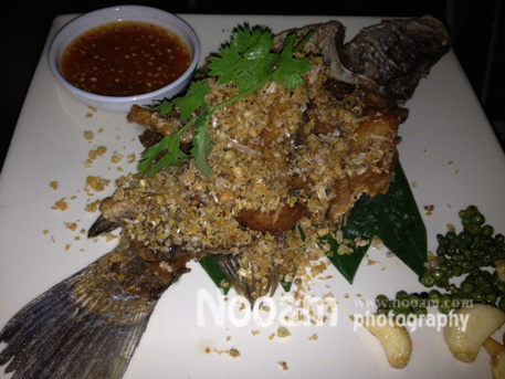 รีวิว ร้าน About Hip ร้านอาหารบรรยากาศดี ดนตรีเพราะ ริมคลองประปา ประชาชื่น
