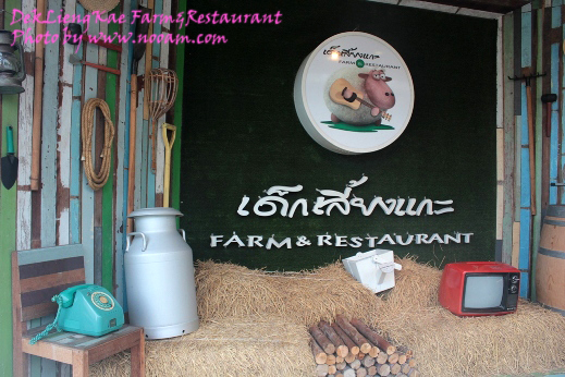รีวิว ร้านอาหารเด็กเลี้ยงแกะ @ เลียบด่วนรามอินทรา-ลาดพร้าว71 บรรยากาศดี อาหารอร่อย ดนตรีสดเพราะ