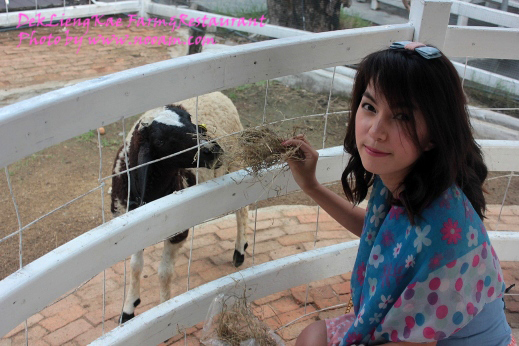 รีวิว ร้านอาหารเด็กเลี้ยงแกะ @ เลียบด่วนรามอินทรา-ลาดพร้าว71 บรรยากาศดี อาหารอร่อย ดนตรีสดเพราะ