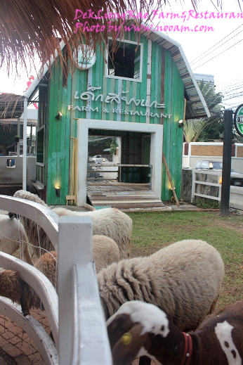 รีวิว ร้านอาหารเด็กเลี้ยงแกะ @ เลียบด่วนรามอินทรา-ลาดพร้าว71 บรรยากาศดี อาหารอร่อย ดนตรีสดเพราะ