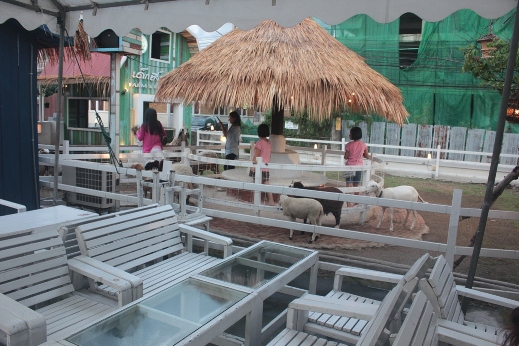 รีวิว ร้านอาหารเด็กเลี้ยงแกะ @ เลียบด่วนรามอินทรา-ลาดพร้าว71 บรรยากาศดี อาหารอร่อย ดนตรีสดเพราะ