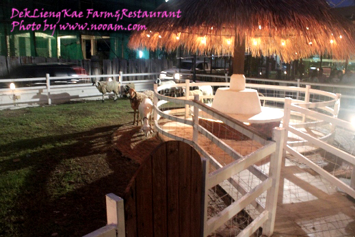 รีวิว ร้านอาหารเด็กเลี้ยงแกะ @ เลียบด่วนรามอินทรา-ลาดพร้าว71 บรรยากาศดี อาหารอร่อย ดนตรีสดเพราะ