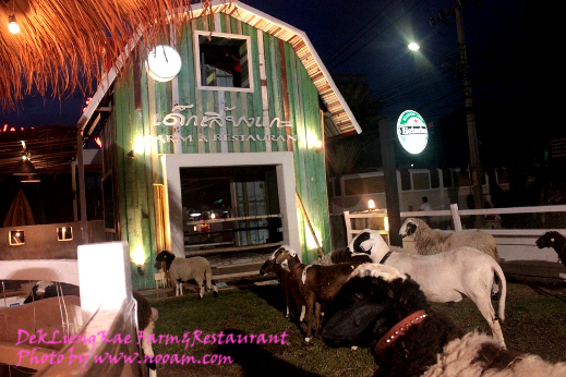 รีวิว ร้านอาหารเด็กเลี้ยงแกะ @ เลียบด่วนรามอินทรา-ลาดพร้าว71 บรรยากาศดี อาหารอร่อย ดนตรีสดเพราะ