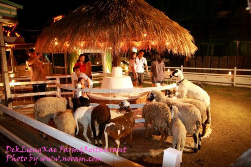 รีวิว ร้านอาหารเด็กเลี้ยงแกะ @ เลียบด่วนรามอินทรา-ลาดพร้าว71 บรรยากาศดี อาหารอร่อย ดนตรีสดเพราะ