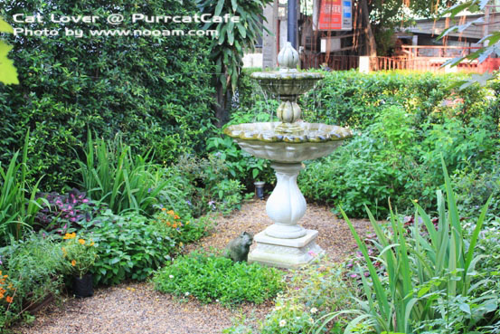 รีวิว Purr Cat Cafe Club คาเฟ่สำหรับคนรักแมว เค้กอร่อย รับอาบน้ำแมวด้วย ตั้งอยู่ในซอยสุขุมวิท53 เจ้าของคือ คุณเพชร