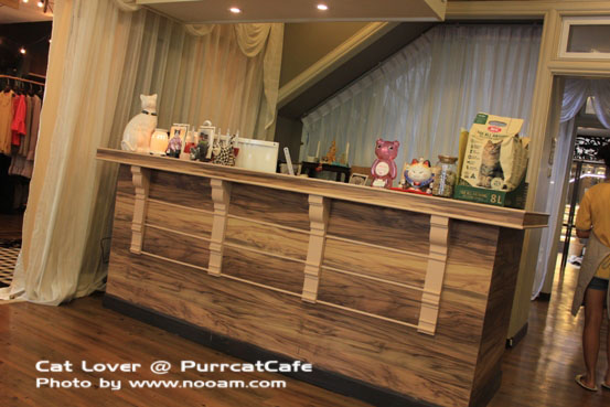 รีวิว Purr Cat Cafe Club คาเฟ่สำหรับคนรักแมว เค้กอร่อย รับอาบน้ำแมวด้วย ตั้งอยู่ในซอยสุขุมวิท53 เจ้าของคือ คุณเพชร