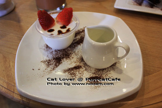 รีวิว Purr Cat Cafe Club คาเฟ่สำหรับคนรักแมว เค้กอร่อย รับอาบน้ำแมวด้วย ตั้งอยู่ในซอยสุขุมวิท53 เจ้าของคือ คุณเพชร
