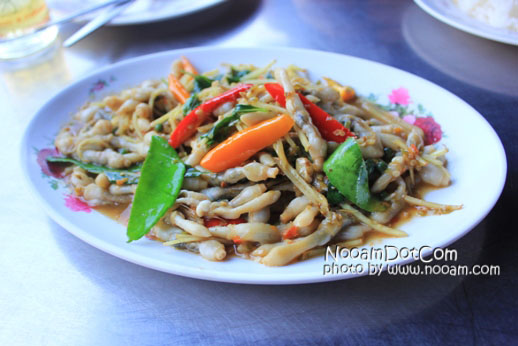 เมนู หอยหลอดผัดฉ่า รีวิว ร้านเพื่อน ร้านอาหารอร่อย ย่านอัมพวา อาหารสด ราคาไม่แพง เคยออกรายการผู้หญิงถึงผู้หญิง พร้อมแผนที่