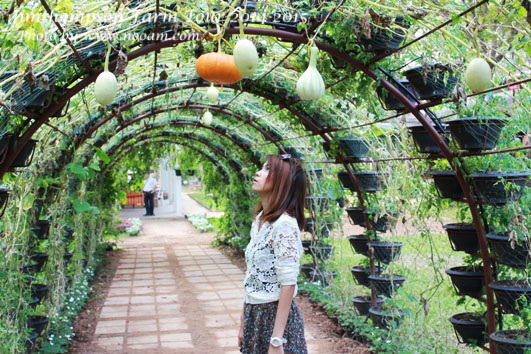 พาเที่ยว จิมทอมสัน ฟาร์ม 2557 (Jim Thompson Farm) วังน้ำเขียว ปักธงชัย นครราชสีมา