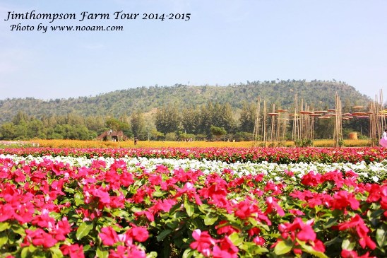 พาเที่ยว จิมทอมสัน ฟาร์ม 2557 (Jim Thompson Farm) วังน้ำเขียว ปักธงชัย นครราชสีมา