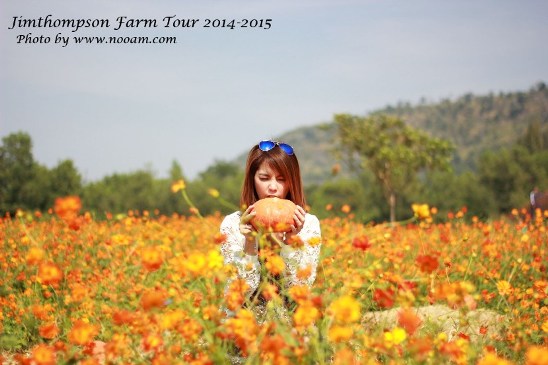 พาเที่ยว จิมทอมสัน ฟาร์ม 2557 (Jim Thompson Farm) วังน้ำเขียว ปักธงชัย นครราชสีมา