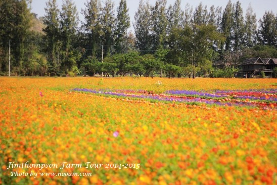 พาเที่ยว จิมทอมสัน ฟาร์ม 2557 (Jim Thompson Farm) วังน้ำเขียว ปักธงชัย นครราชสีมา