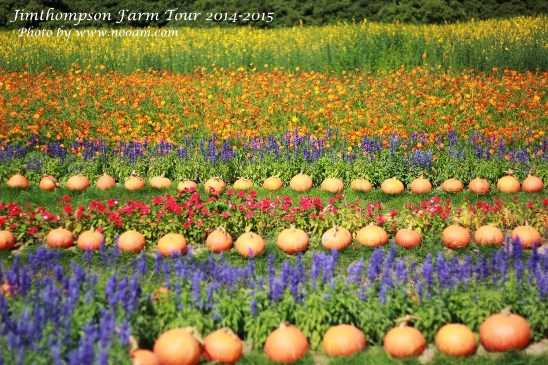 พาเที่ยว จิมทอมสัน ฟาร์ม 2557 (Jim Thompson Farm) วังน้ำเขียว ปักธงชัย นครราชสีมา