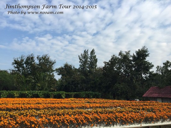 พาเที่ยว จิมทอมสัน ฟาร์ม 2557 (Jim Thompson Farm) วังน้ำเขียว ปักธงชัย นครราชสีมา