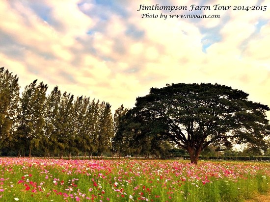พาเที่ยว จิมทอมสัน ฟาร์ม 2557 (Jim Thompson Farm) วังน้ำเขียว ปักธงชัย นครราชสีมา