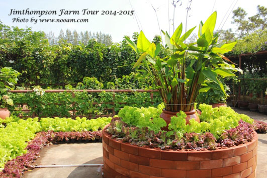 พาเที่ยว จิมทอมสัน ฟาร์ม 2557 (Jim Thompson Farm) วังน้ำเขียว ปักธงชัย นครราชสีมา