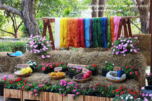 พาเที่ยว จิมทอมสัน ฟาร์ม 2557 (Jim Thompson Farm) วังน้ำเขียว ปักธงชัย นครราชสีมา