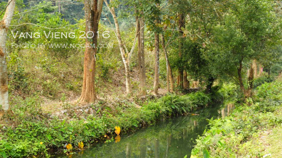 วันที่ 2 ที่วังเวียงออกไปตามหาธรรมชาติซะบ้าง วังเวียงไม่ได้มีแต่เบียร์ที่อร่อยนะเฮ้ยยยย