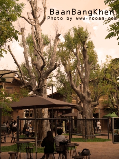 รีวิว บ้านบางเขน ที่เที่ยวสไตล์ 90 มีมุมถ่ายรูปสวยๆ มีอาหาร และคาเฟ่เปิด 24 ชม พร้อมวิธีการเดินทาง