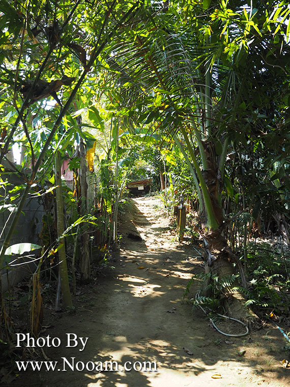 รีวิว ร้าน จิบแฟ แช่น้ำ บ้านภาคิน ห้วยยื่น คาเฟ่น่ารัก นั่งเอาเท้าจุ่มน้ำเพลินๆ ริมธารน้ำใส จังหวัดน่าน