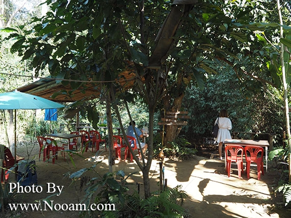 รีวิว ร้าน จิบแฟ แช่น้ำ บ้านภาคิน ห้วยยื่น คาเฟ่น่ารัก นั่งเอาเท้าจุ่มน้ำเพลินๆ ริมธารน้ำใส จังหวัดน่าน