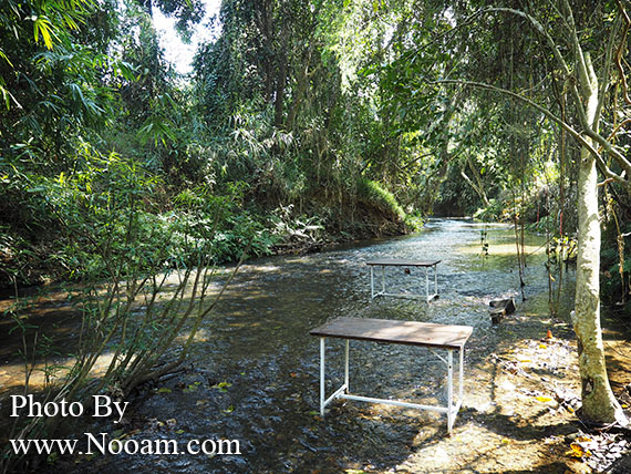 รีวิว ร้าน จิบแฟ แช่น้ำ บ้านภาคิน ห้วยยื่น คาเฟ่น่ารัก นั่งเอาเท้าจุ่มน้ำเพลินๆ ริมธารน้ำใส จังหวัดน่าน