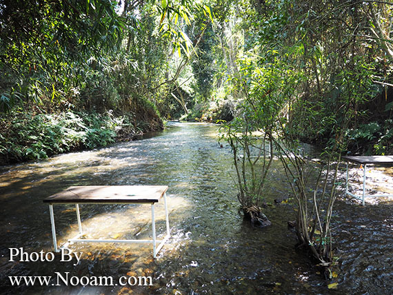 รีวิว ร้าน จิบแฟ แช่น้ำ บ้านภาคิน ห้วยยื่น คาเฟ่น่ารัก นั่งเอาเท้าจุ่มน้ำเพลินๆ ริมธารน้ำใส จังหวัดน่าน
