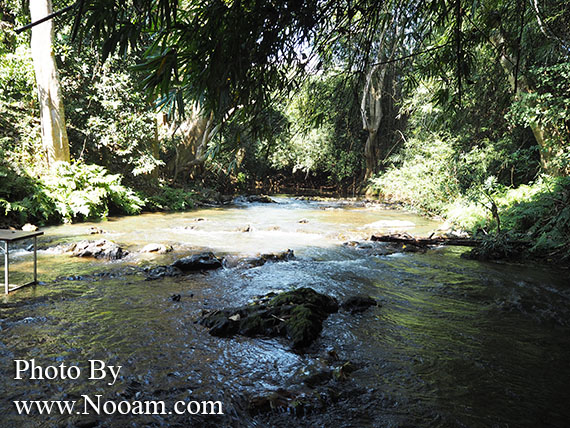 รีวิว ร้าน จิบแฟ แช่น้ำ บ้านภาคิน ห้วยยื่น คาเฟ่น่ารัก นั่งเอาเท้าจุ่มน้ำเพลินๆ ริมธารน้ำใส จังหวัดน่าน
