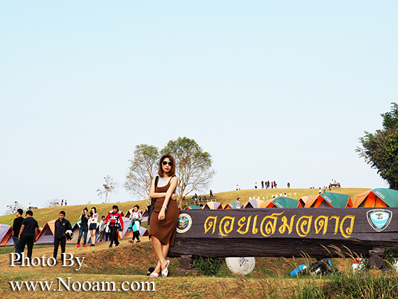 รีวิว ดอยเสมอดาว กินหมูกระทะ ชมทะเลหมอก ใกล้ผาหัวสิงห์ จังหวัดน่าน 