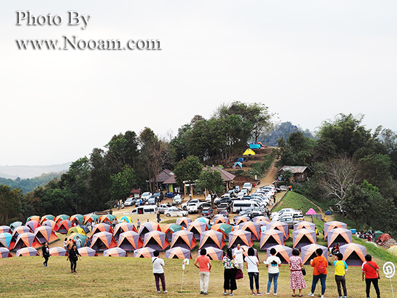 รีวิว ดอยเสมอดาว กินหมูกระทะ ชมทะเลหมอก ใกล้ผาหัวสิงห์ จังหวัดน่าน