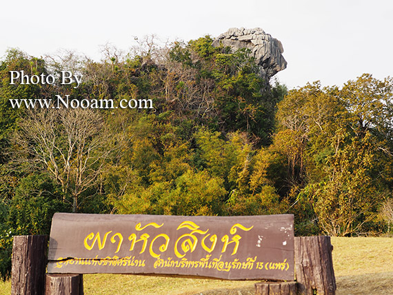 รีวิว ดอยเสมอดาว กินหมูกระทะ ชมทะเลหมอก ใกล้ผาหัวสิงห์ จังหวัดน่าน
