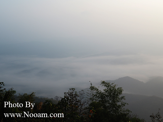 รีวิว ดอยเสมอดาว กินหมูกระทะ ชมทะเลหมอก ใกล้ผาหัวสิงห์ จังหวัดน่าน